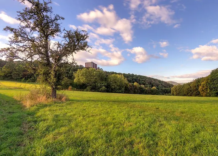 B915 By Interhome Lahnstein